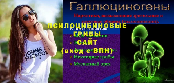 таблы Гусев